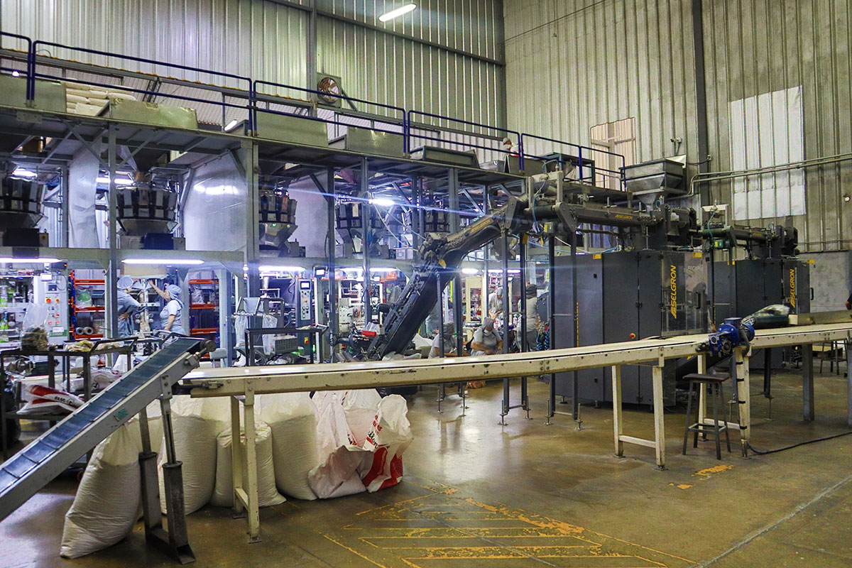 Industrial precision with artificial intelligence