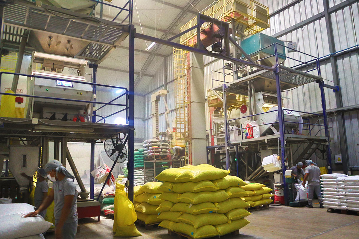 Industrial precision with artificial intelligence