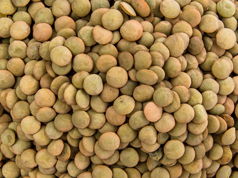 Lenteja