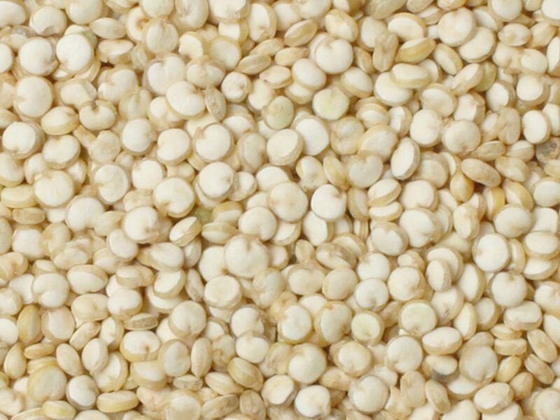 Quinua Blanca
